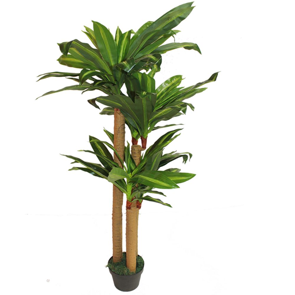 Lovely Artificial Dracauna Plant