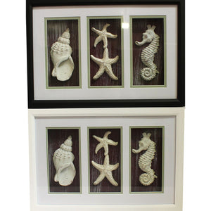 Elite Mdf Seashell Shadow Box - 2 Assorted