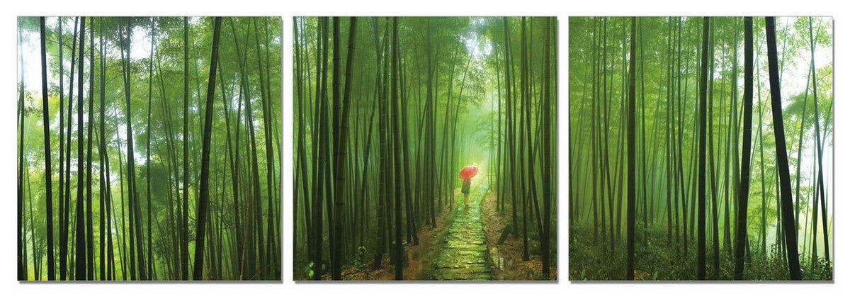 24" Canvas 3 Panels Forest Color Photo