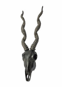 Antelope Skull Wall Decor With Spiral Horns, Gray