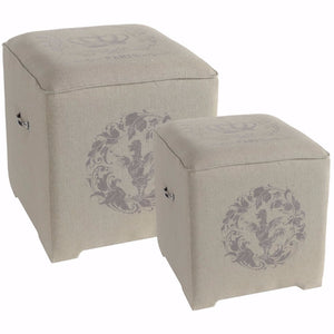 Well Groomed Modern Cubes, Set of 2