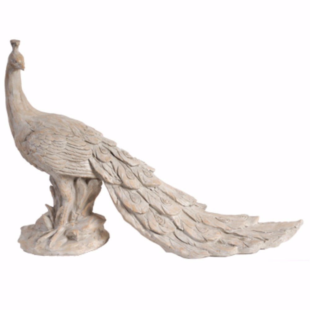 Elegant Peacock Sculptural Accent, White