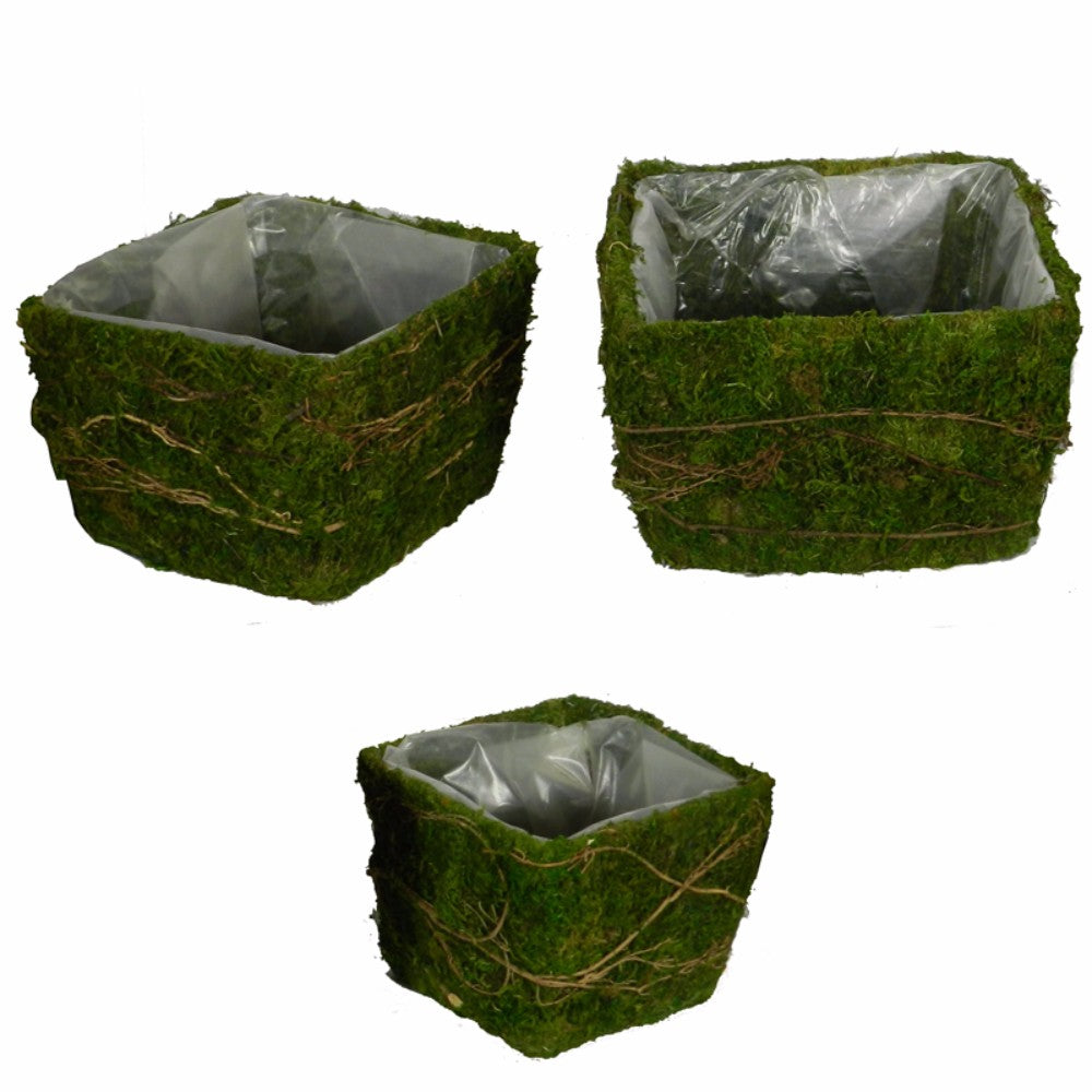 Decorative 3 Piece Moss And Salim Basket Set, Green