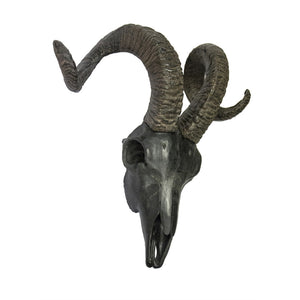 Animal Inspired Ram Skull Wall Decor, Black