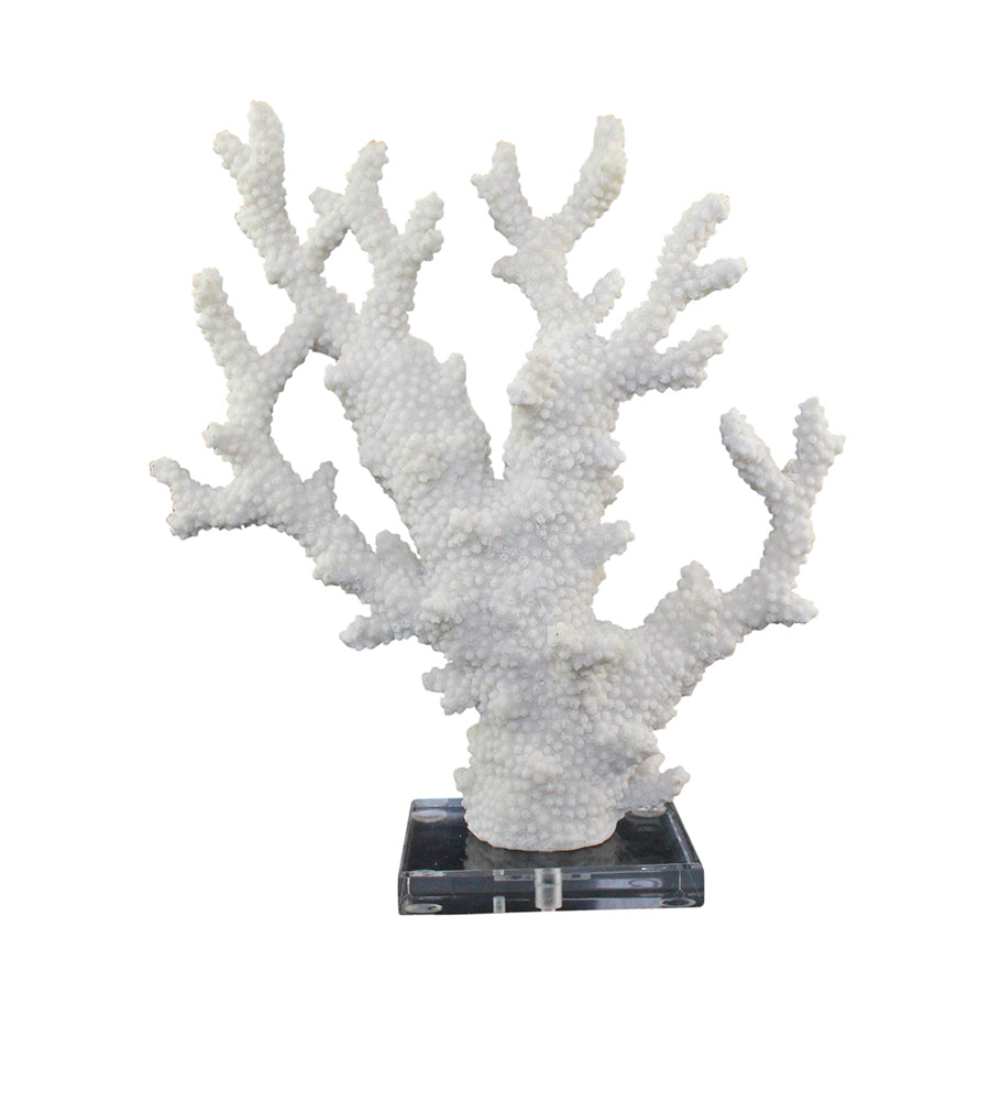 Polyresin Coral Sculpture With Acrylic Base, White