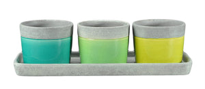 Set of 3 Adorning Ceramic Planters With Tray, Multicolor