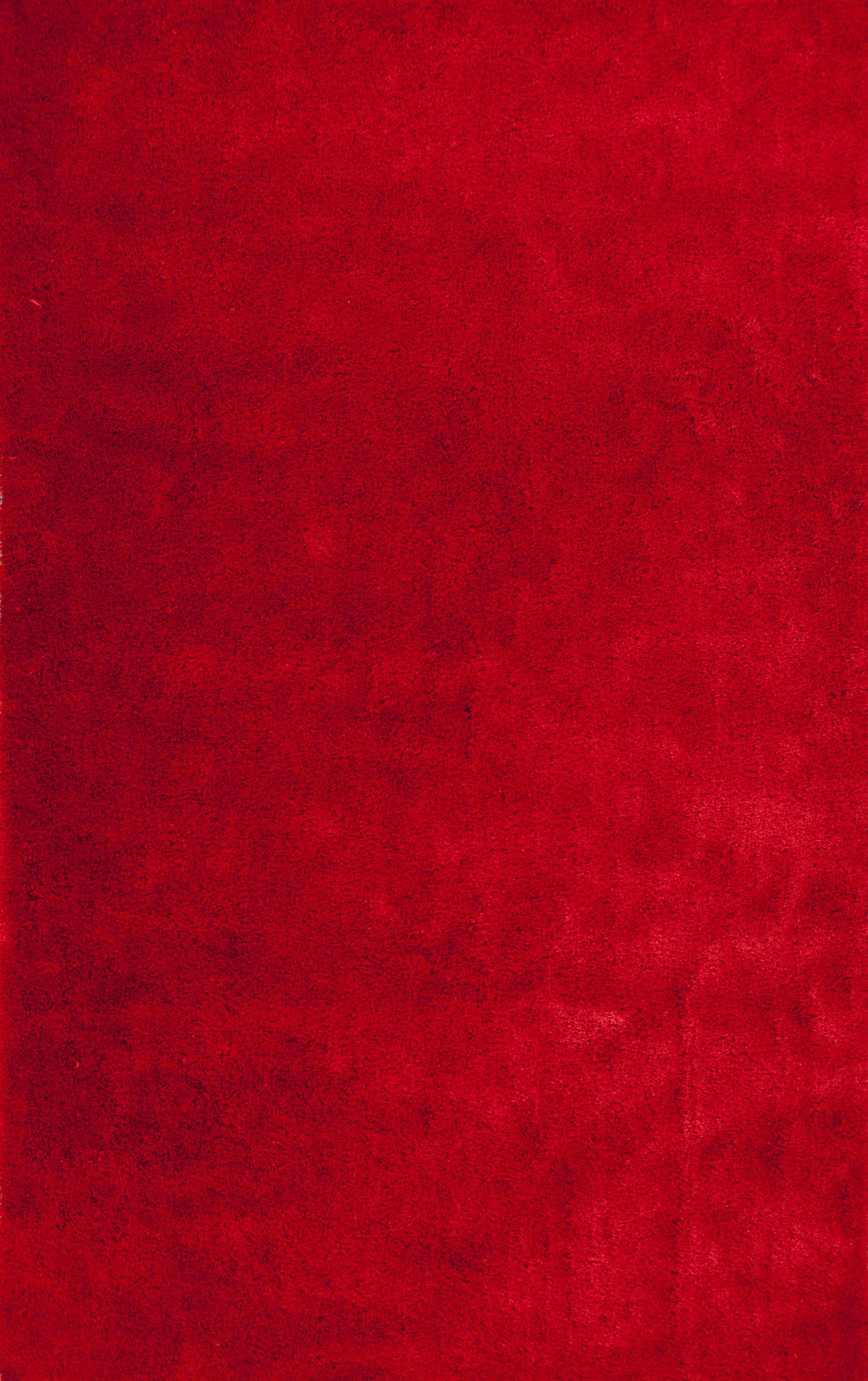 3'3" x 5'3" UV-treated Polyester Red Area Rug