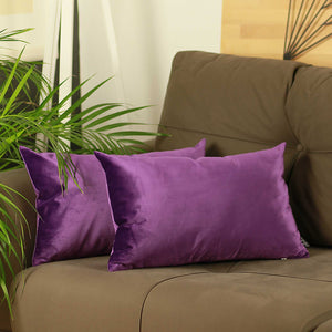 21"x14" Purple Velvet Decorative Throw Pillow Cover 2 Pcs in set