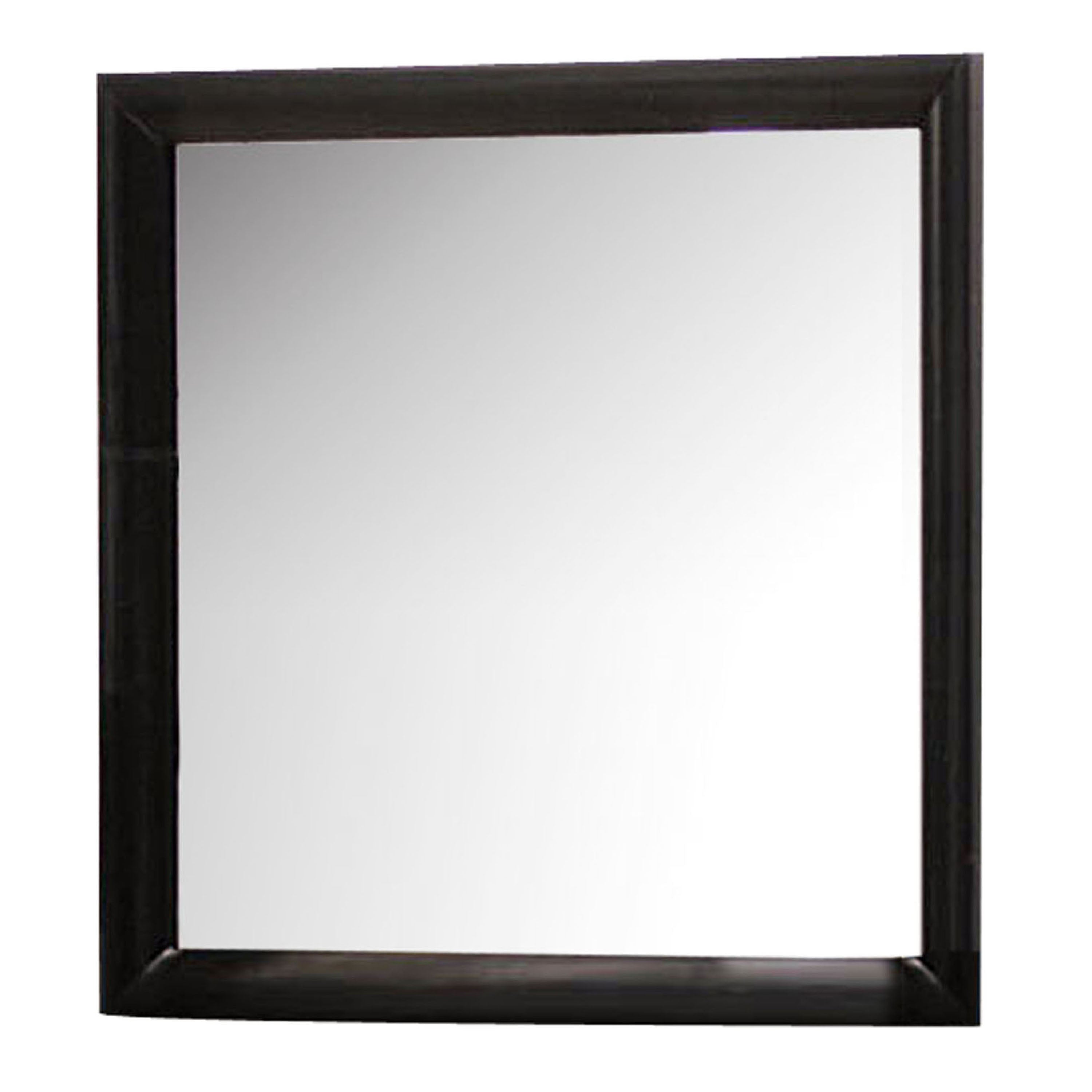 Contemporary Style Wooden Mirror with Beveled Edges, Silver and Black