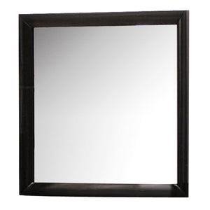 Contemporary Style Wooden Mirror with Beveled Edges, Silver and Black