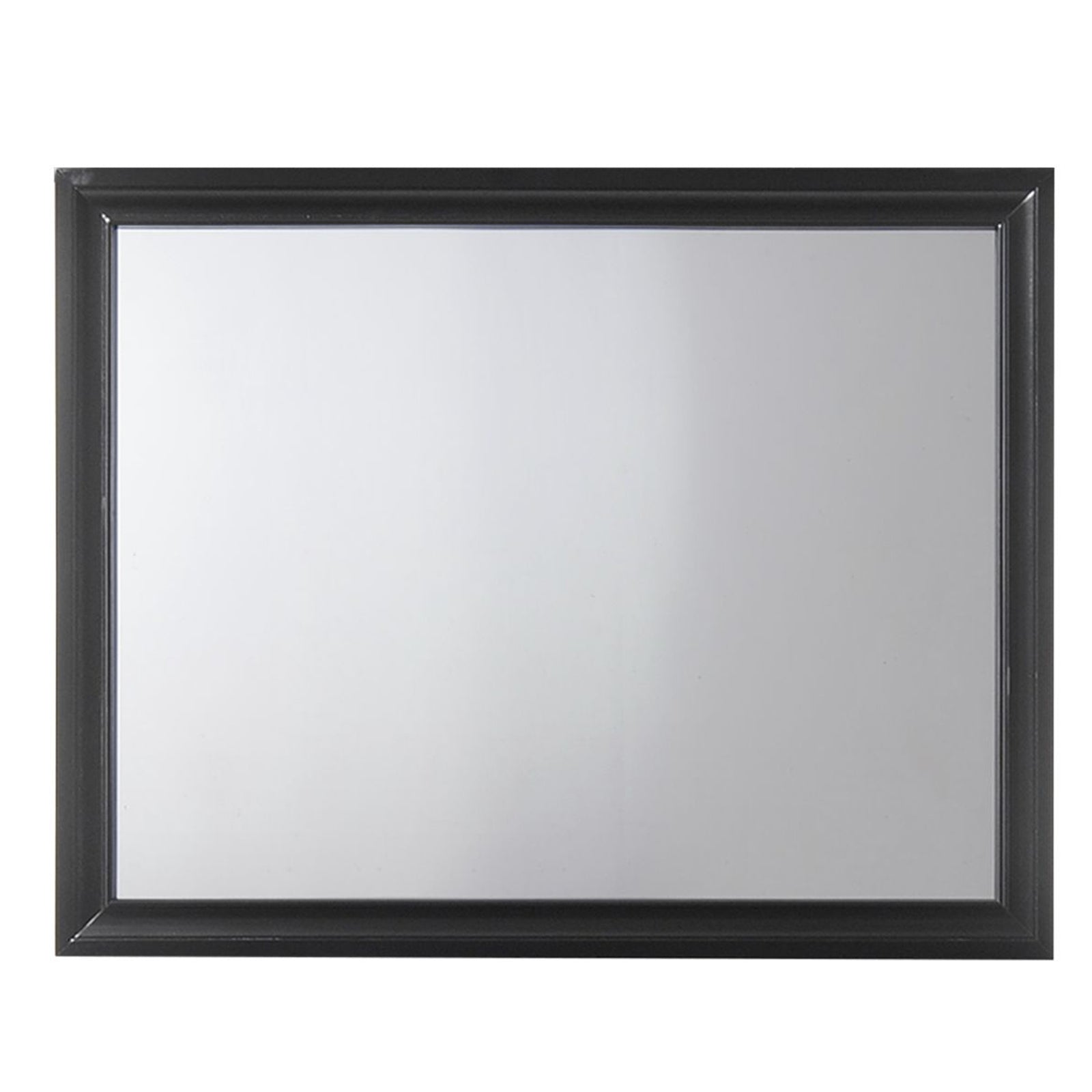 Contemporary Style Wooden Mirror with Raised Frame, Black