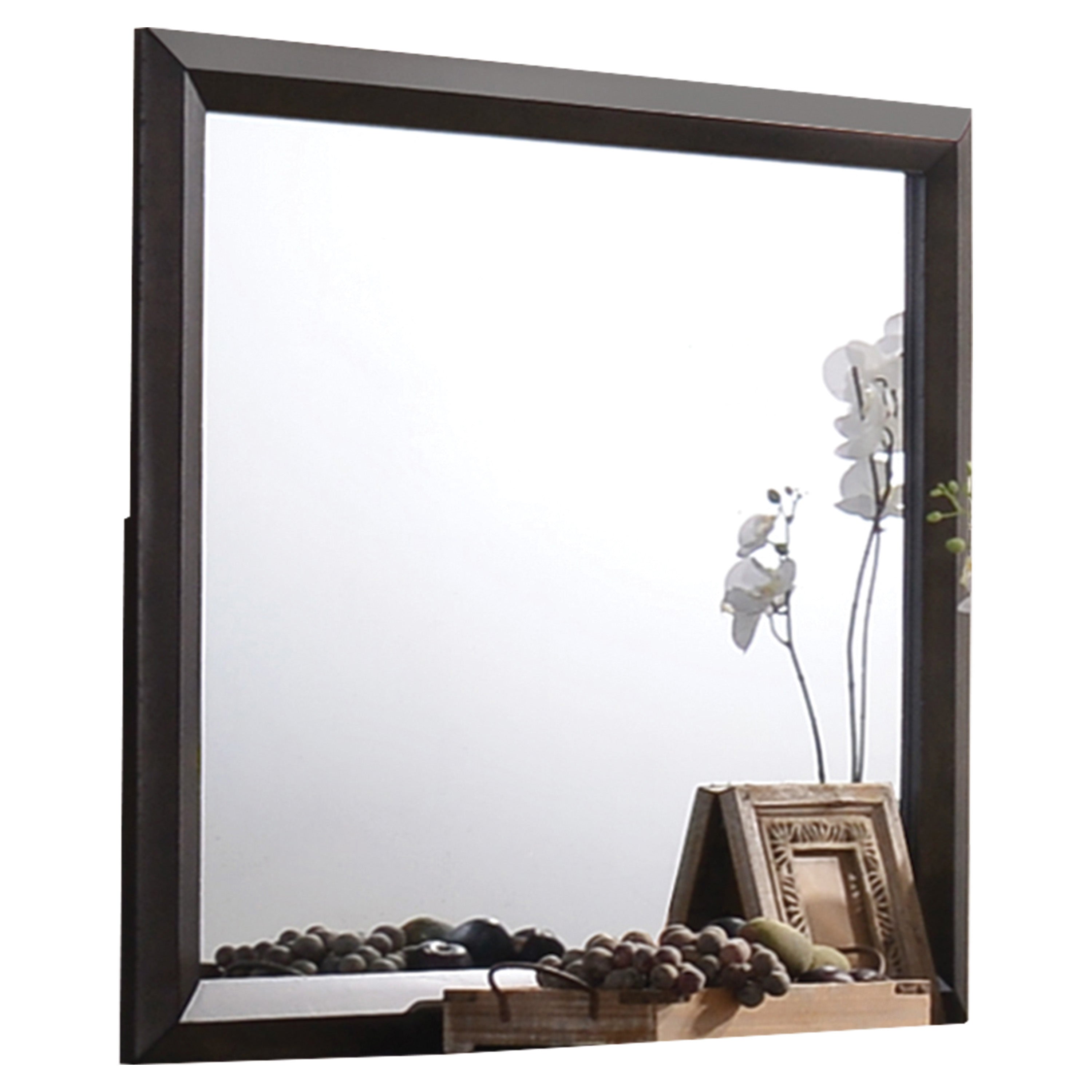 Transition Style Wooden Mirror with Rectangular Shape,Brown and Silver