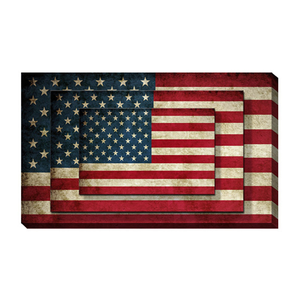 Contemporary Canvas American Flag Wall Art Print Decor, Multicolor